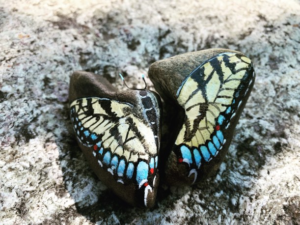 3EFF7390-2EF0-4E91-AE76-7679DEC86B7D