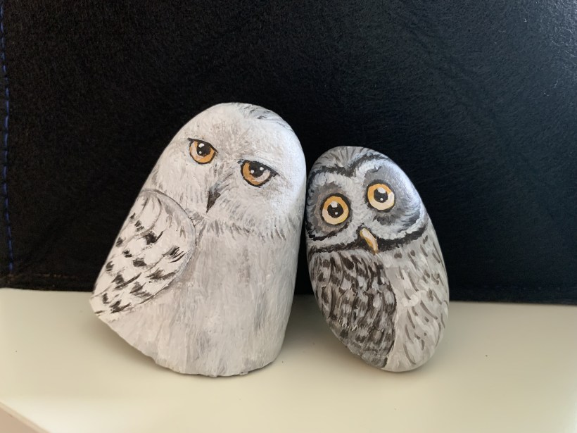 6CAD95E5-C6A5-4BCC-85B1-DDA2C6BB28DA