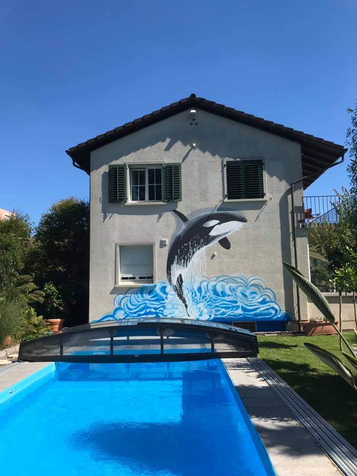 Orca1